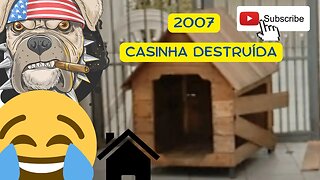 2007 - O Saudoso Amigo Pitty (Pitbull) destruiu a Casinha e teve consequências... - São Paulo - SP
