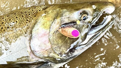 Coho Salmon Fishing With Spinners / Steelhead Slammers Reel Michigan Anglers Edition Spinner