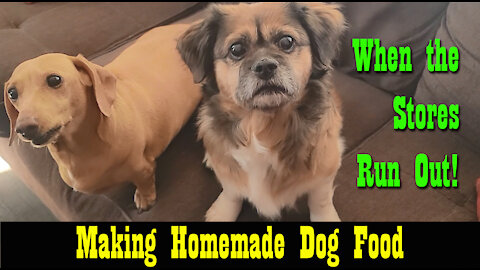 Homemade Dog Food ~ When the Stores Run out or the Price is too High!