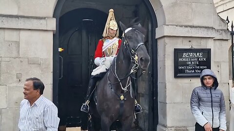 The guard was ready to yank the reins away #horseguardsparade