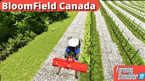 Grains And Grapes | Bloomfield Canada 44 | FS22