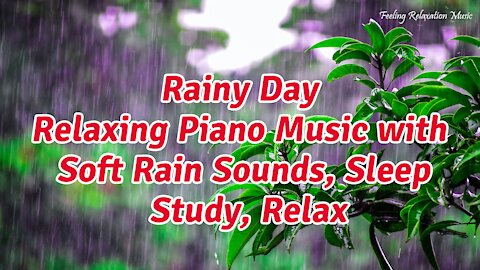 Rainy Day • Relaxing Piano Music with Soft Rain Sounds, Sleep, Study, Relax