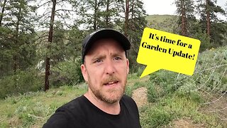 Homestead Garden Update