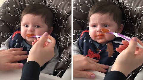 Displeased baby trying purée carrots for the first time
