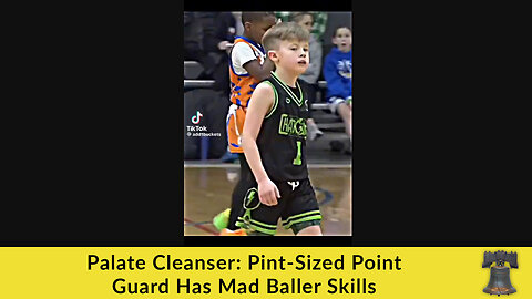 Palate Cleanser: Pint-Sized Point Guard Has Mad Baller Skills