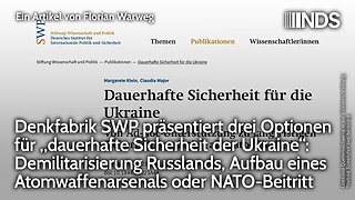 Denkfabrik SWP zur Ukraine: Demilitarisierung Russlands, Atomwaffenarsenal oder NATO-Beitritt | NDS