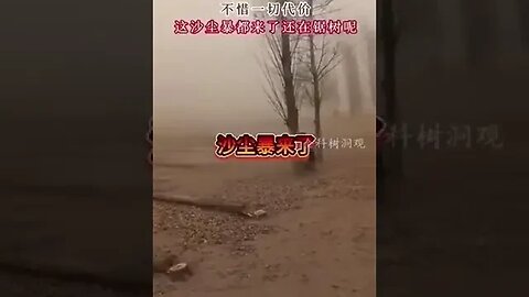 Farmer Cuts Down Trees to Facilitate the CCP's “Turning the Forests into Farmland" Policy