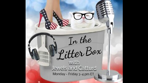 COVID Joe - In the Litter Box w/ Jewels & Catturd 7/21/2022 - Ep. 130