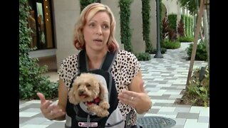 Woman credits medical service dog with saving life