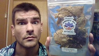 Trying Amanita Regalis Mushrooms! (MN Nice Botanicals)