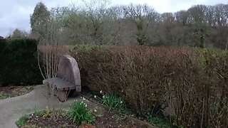 Garden at Buckfast Abbey. Devon. UK