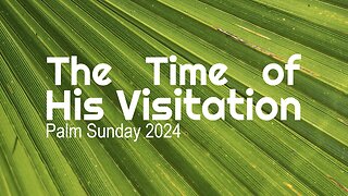 Palm Sunday 2024 “The Time of His Visitation”