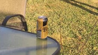 Australian opens drink can with a whip
