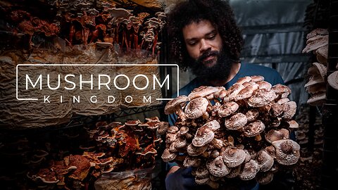 Cultivating Gourmet and Medicinal Mushrooms | PARAGRAPHIC