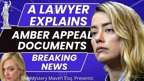 Lawyer Reviews Amber Heard Appeal Document