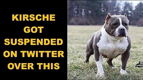 UK Wants To Ban The American Bully. Vtubers most Affected