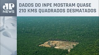 Fevereiro registra recorde de alertas de desmatamento na Amazônia