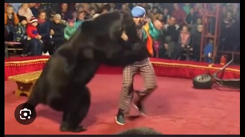 Trainer's Nightmare: Bear Attacks Master in Shocking Show Incident!