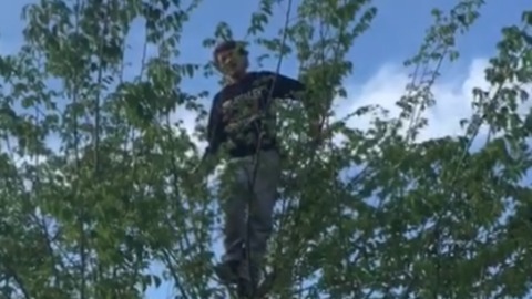 Teen's Epic Tree Climbing Fail Will Make You Cringe
