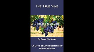 The True Vine, By Steve Hulshizer On Down to Earth But Heavenly Minded Podcast