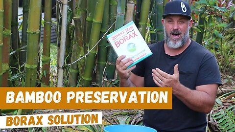 How to Make Borax based Bamboo Treatment Solution
