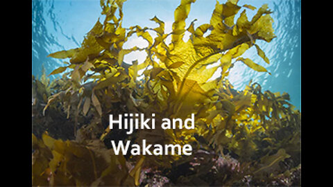 PFTTOT Part 203 Benefits of Hijiki and Wakame