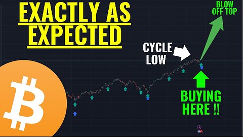 Cycle Lows are here - Bitcoin Pump loading too !!