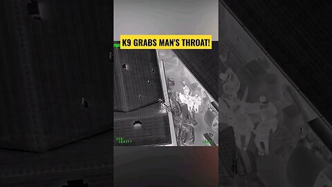 K9 Grabs Man's Throat