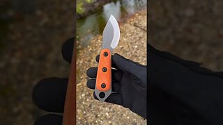 2023 Skur in Skur Orange - STUNNING! | Shed Knives #shedknives #shorts