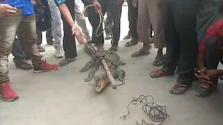 Crocodile punished after attacking villager