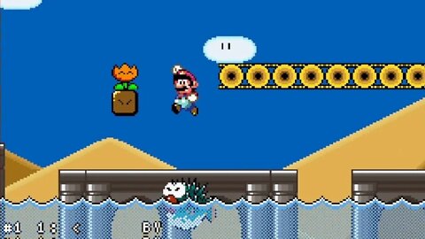 SMW With the levels of NSMB World 2