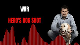 War Hero's Dog Shot - True 911 Calls