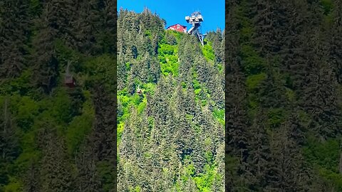 Giant Cruise Ships & an Epic Mountain Tram in #juneau #Alaska #shorts