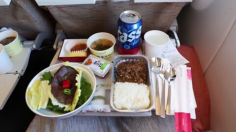 Asiana Flight Seoul-Frankfurt