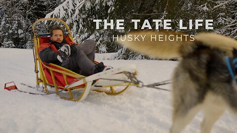 The Tate Life - Husky Heights
