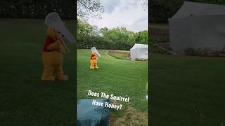 Did This Squirrel Take Pooh's Honey 🤔