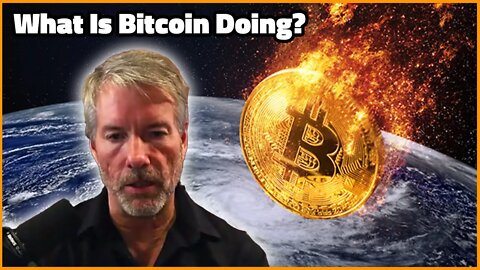 What is Bitcoin doing?! - MicroStrategy CEO Michael Saylor