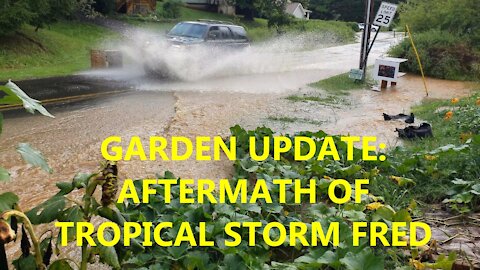 Garden Aftermath of Tropical Storm Fred (WE GOT LUCKY!!)