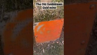 Gold stream mine #goldmines #adventure #running #cave #mine #gold #crazy #bc #vancouverisland