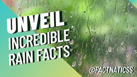 Do You Know what Petrichor is? | Unveil Incredible Rain Facts