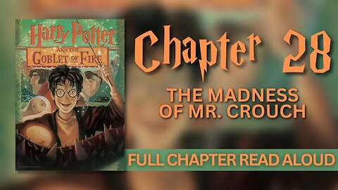 Harry Potter and the Goblet of Fire | Chapter 28: The Madness of Mr. Crouch