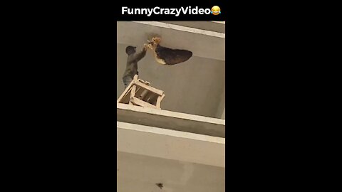 Mr FunnyCrazyVideo😂 Just Incredible Video Funny and Crazy #Like Follow for Follow 🥰