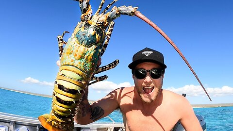 GIANT LOBSTER Catch and Cook