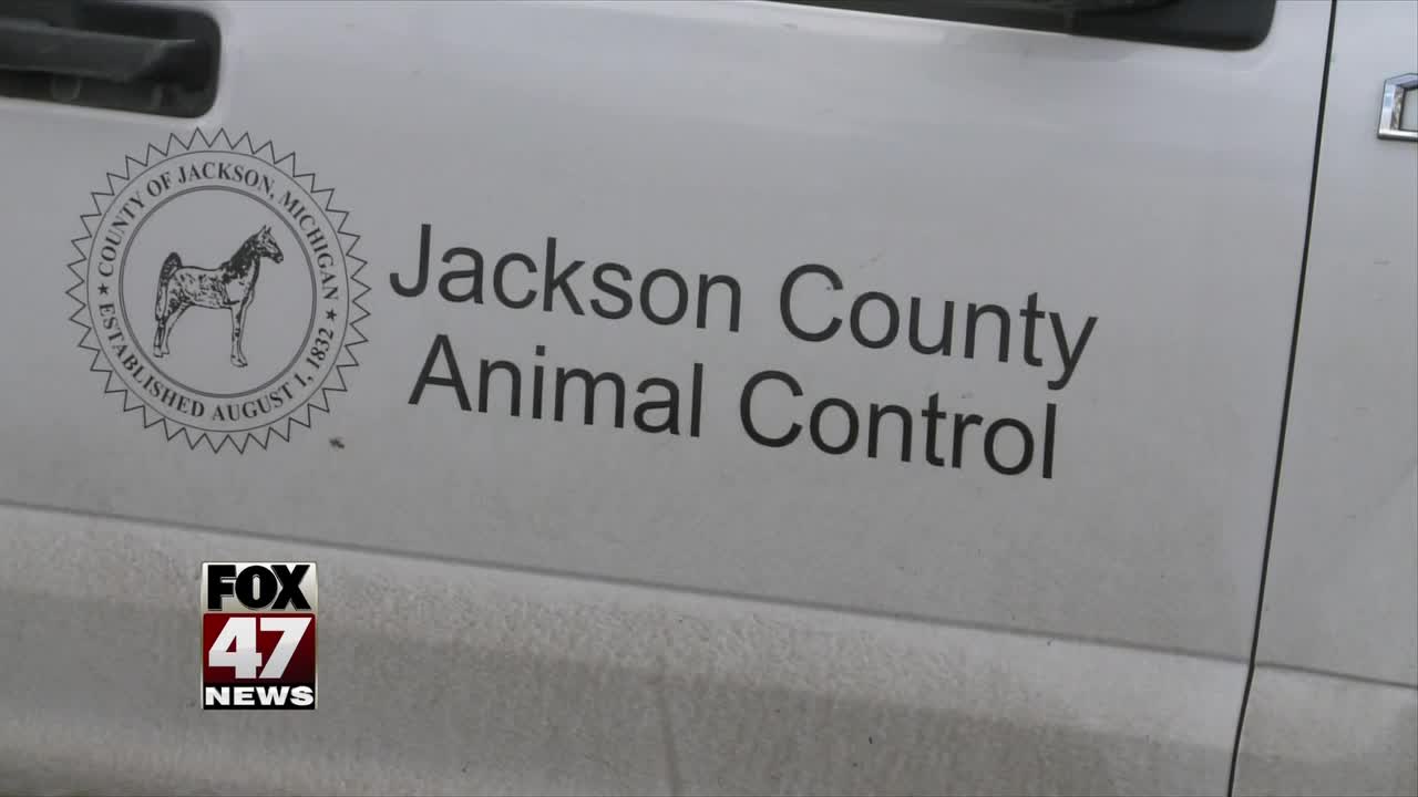 Jackson County Animal Shelter is asking for help after a criminal case