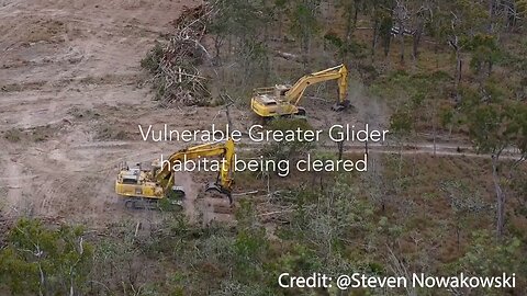 Behold So-called "Green" Energy Killing the Environment!