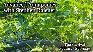 Advanced Aquaponics with Stephen Raisner - Epi-3443