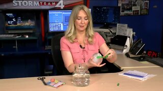 Try this fun experiment involving icebergs, density