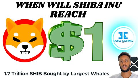 Shiba Inu Mania: 1.7 Trillion Purchased, $1 Price Target Achieved!?