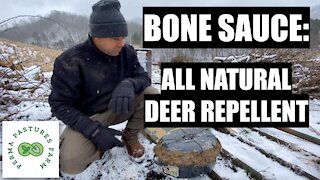Bone Sauce // Best Natural Deer Repellent