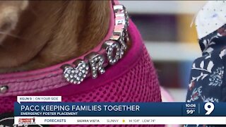 PACC keeping families together, emergency foster placement